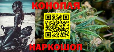 шишки Брянск