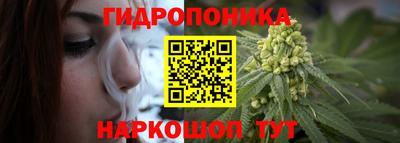 ешки Бердск