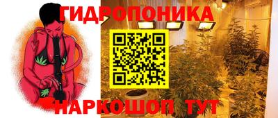 шишки Брянск