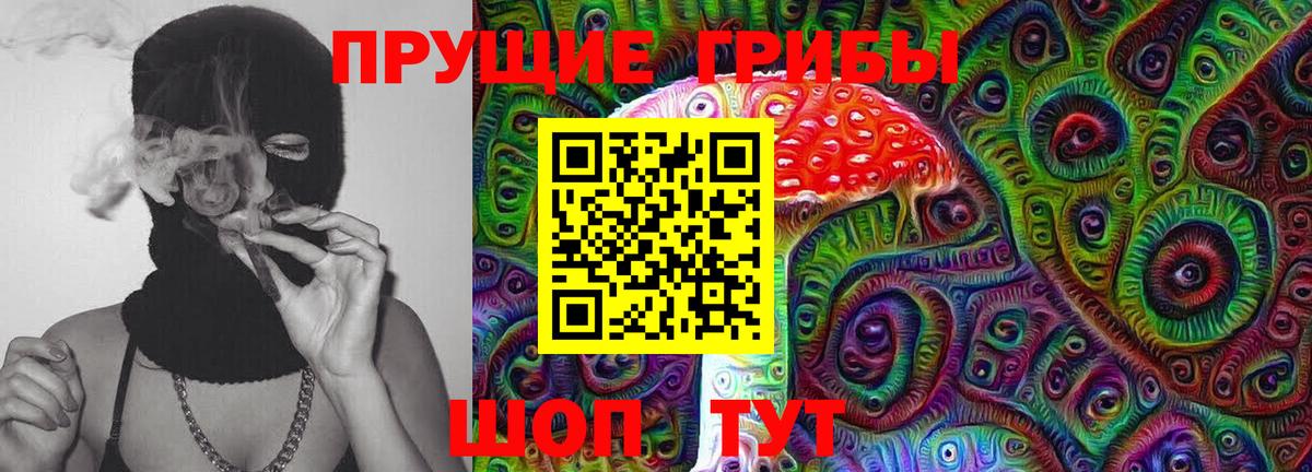 Москва  Галлюциногенные грибы прущие грибы  Вход с VPN 
